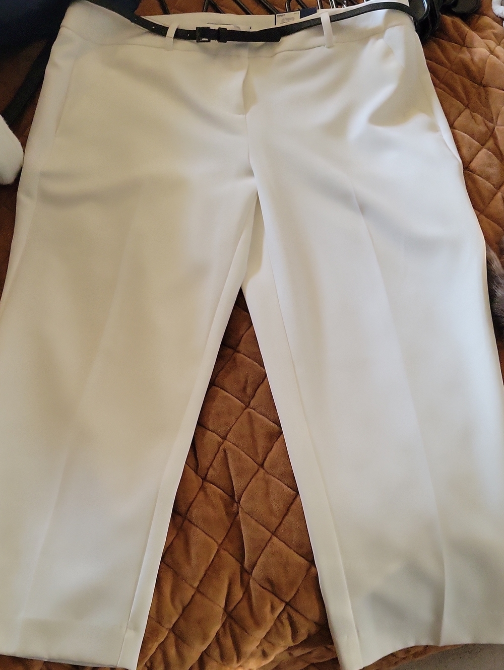 Apt. 9 White Cropped Dress Capris